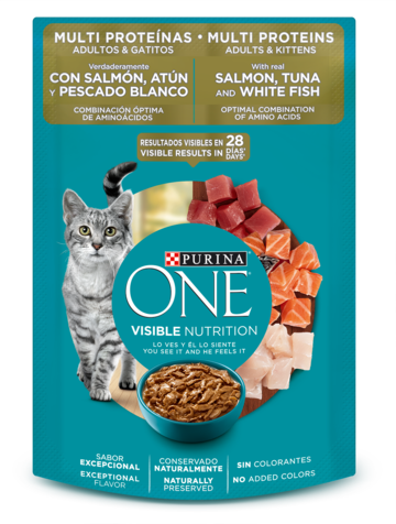 Alimento húmedo para gato cachorro