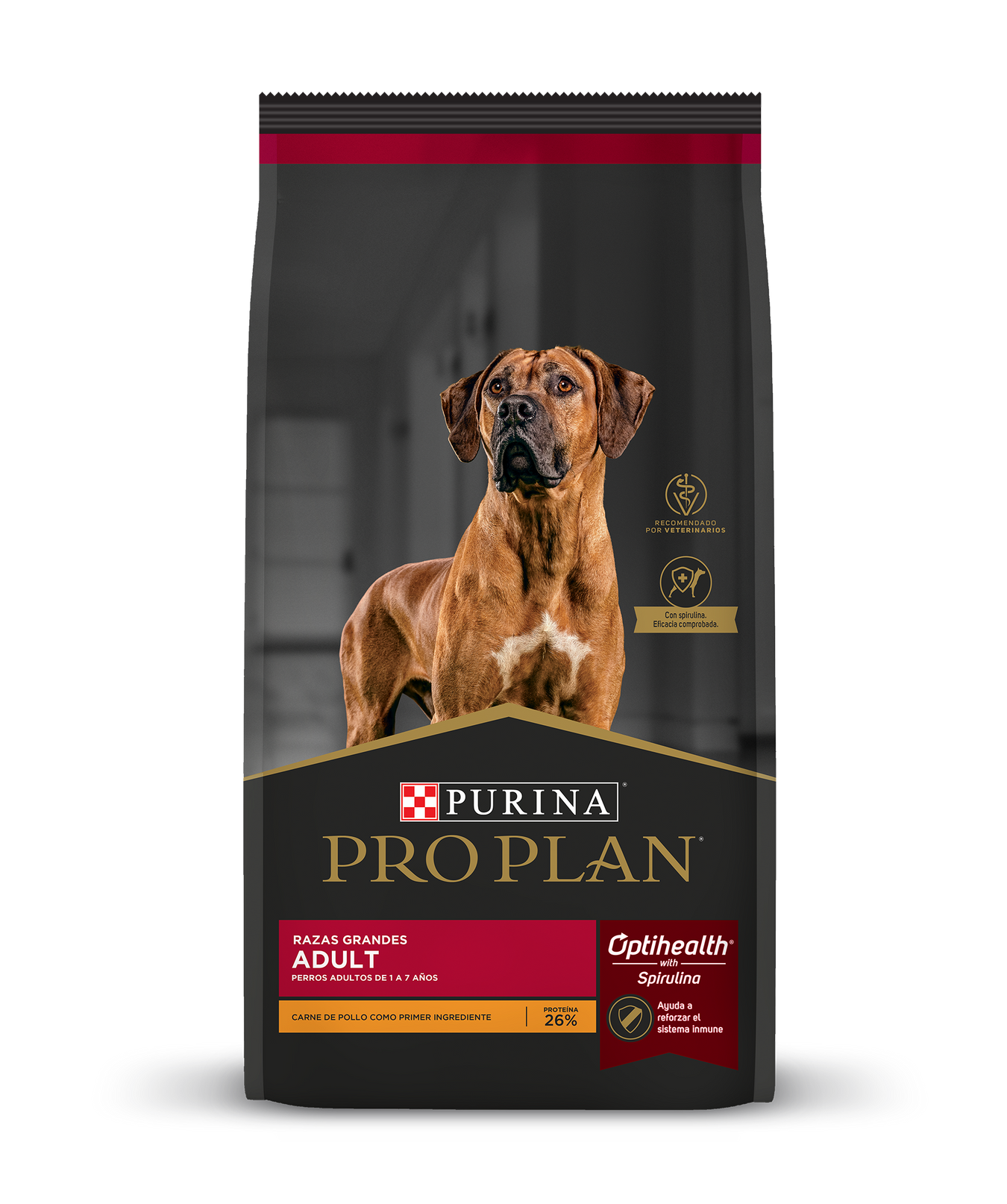 Alimento seco para perro adulto