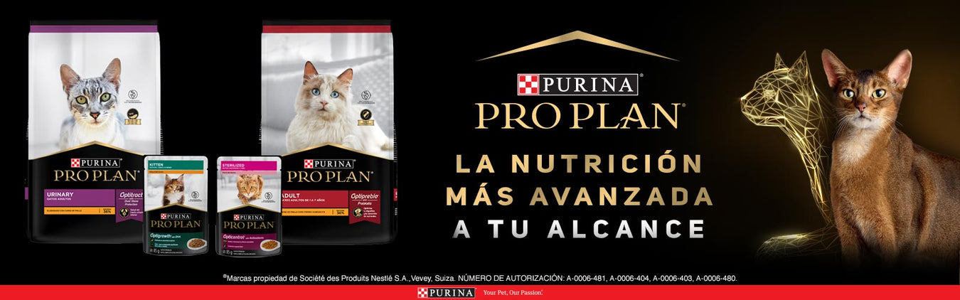 Pro Plan Gato